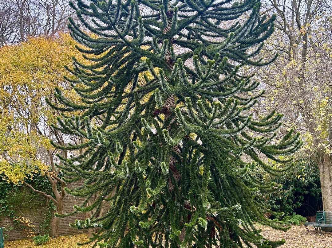 Seaton Park-阿伯丁必去景点