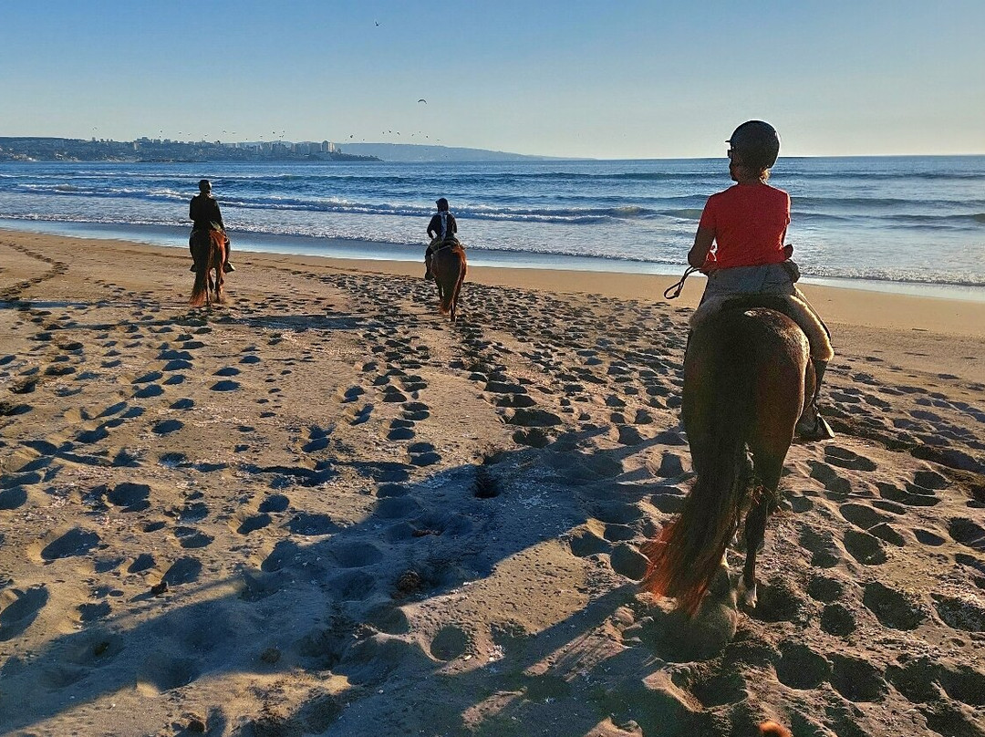 Ritoque Expeditions-Concon必去景点