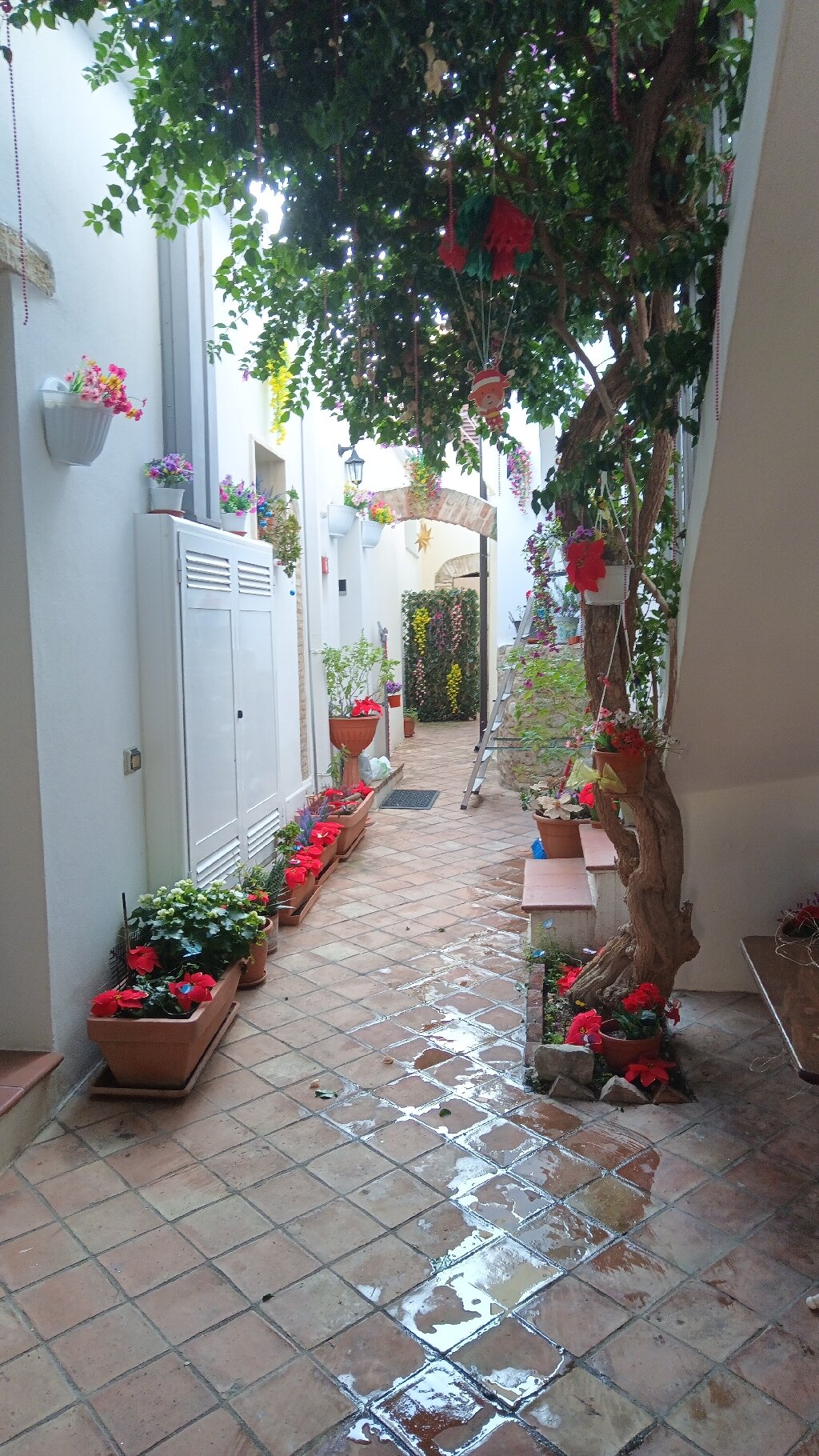 La Casa Incantata-官方