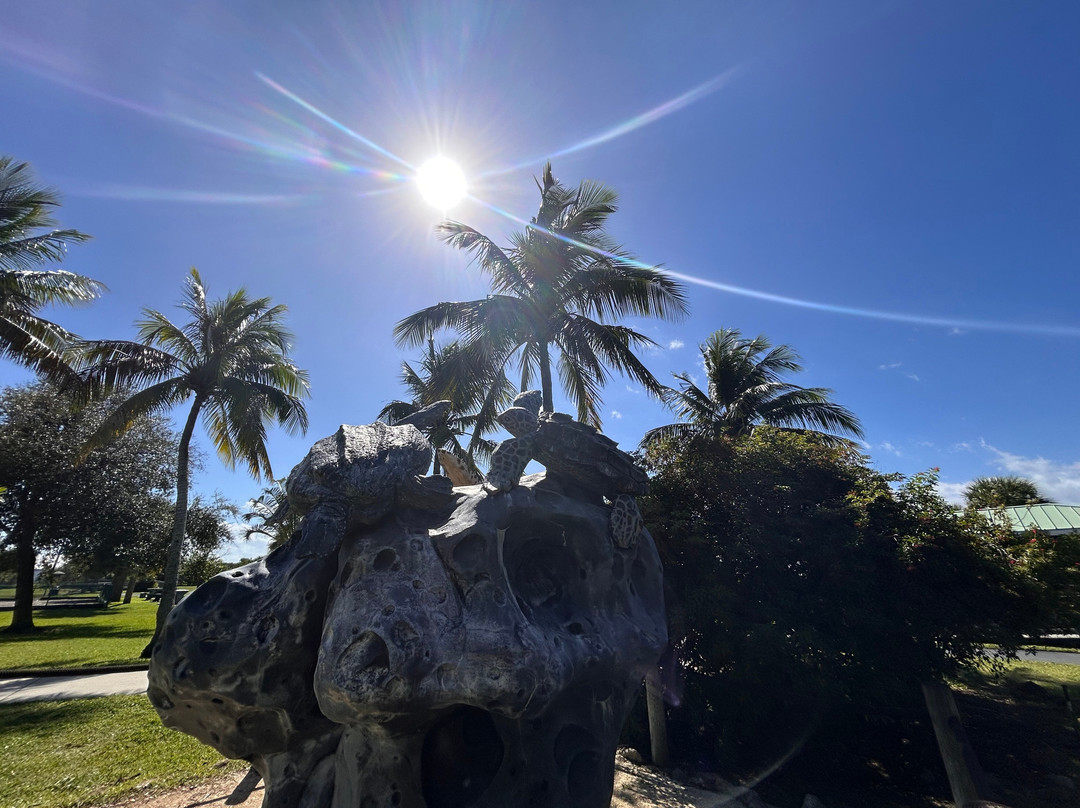 Manatee Sanctuary Park-卡纳维拉尔角必去景点