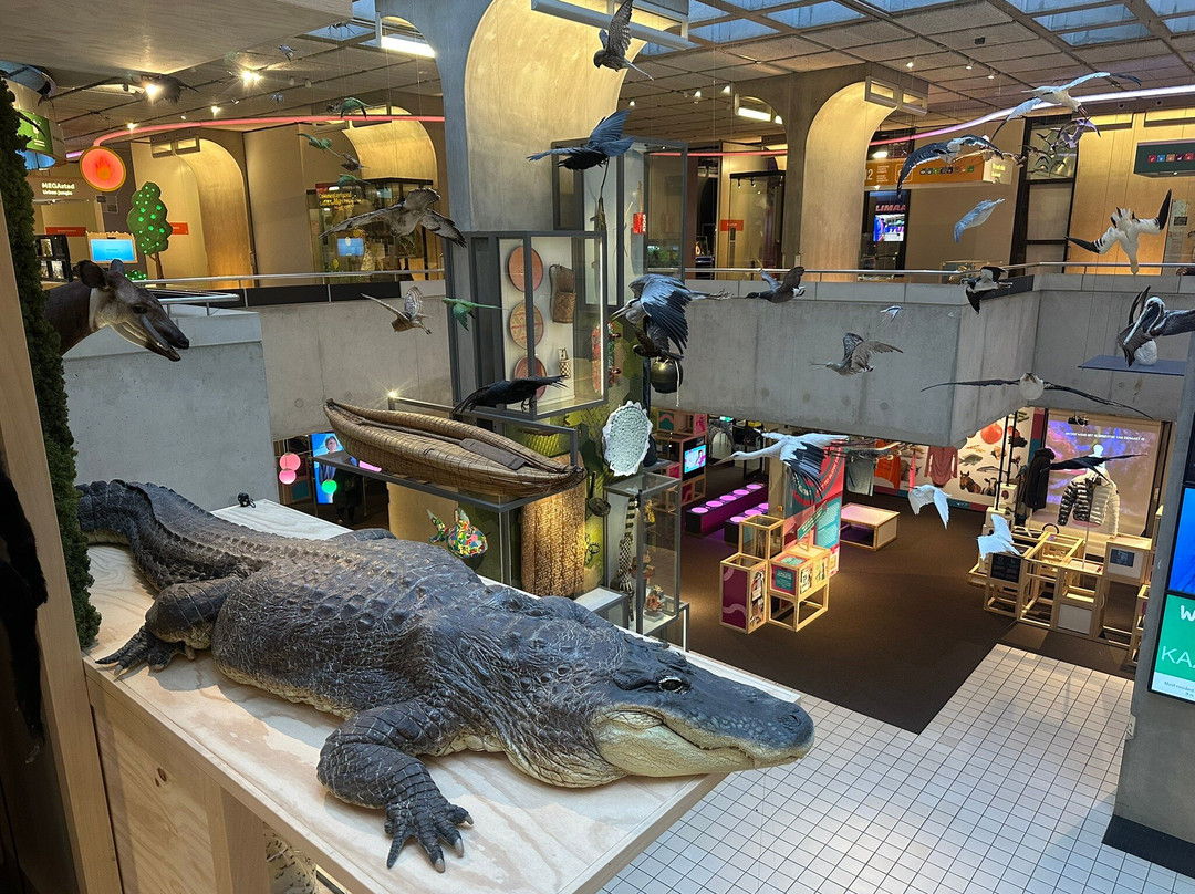 Museon-Omniversum-海牙必去景点