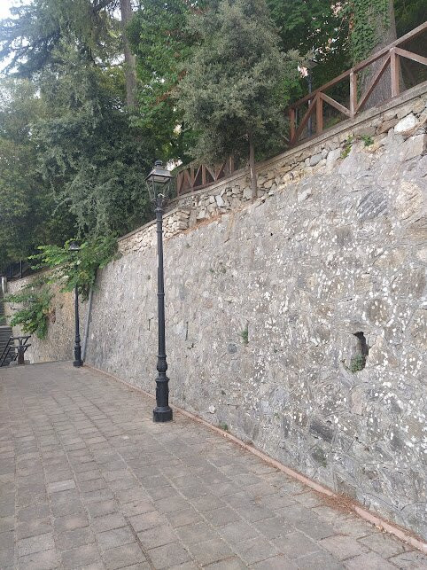 Villa Trieste-卡坦扎罗必去景点