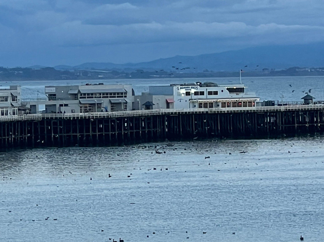 海洋与沙滩旅馆主图