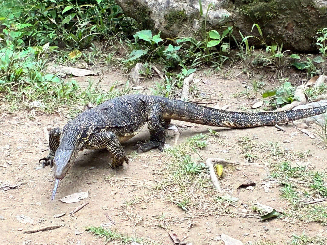 Erawan National Park-是沙越必去景点