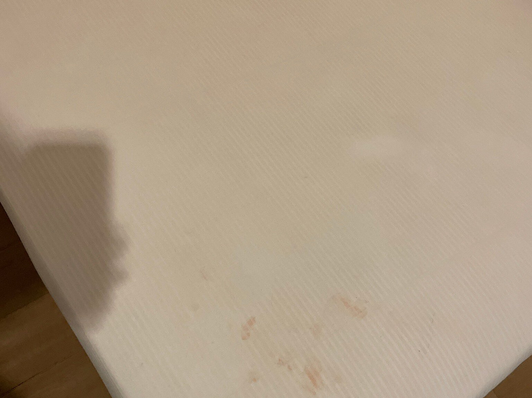 Hotel Citradream Bintaro主图