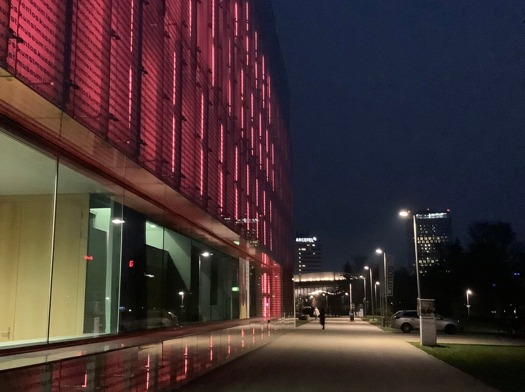 Lentos Kunstmuseum (Museum of Modern Art Linz)-林兹必去景点