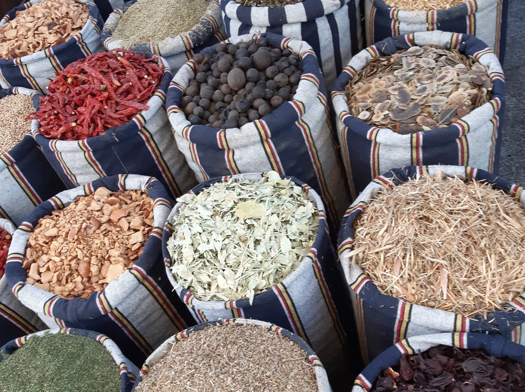 Erlebnis Ägypten-Safaga必去景点