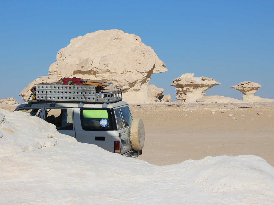 Dabuka Travel Visions-开罗必去景点