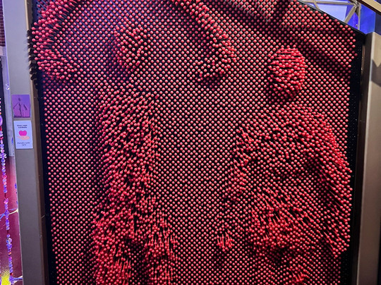 Neonia-波尔图必去景点