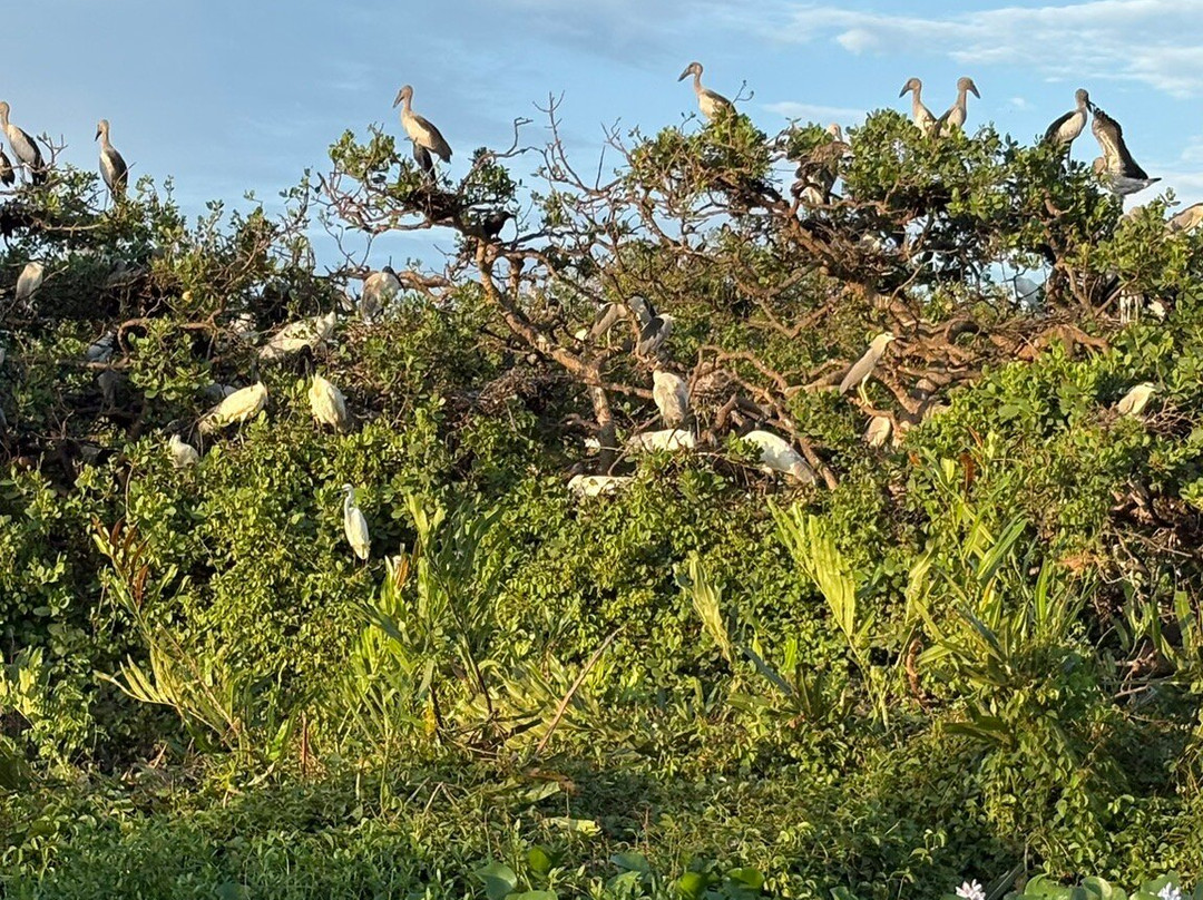 Wildlife Wonders Sri Lanka-唐卡拉必去景点