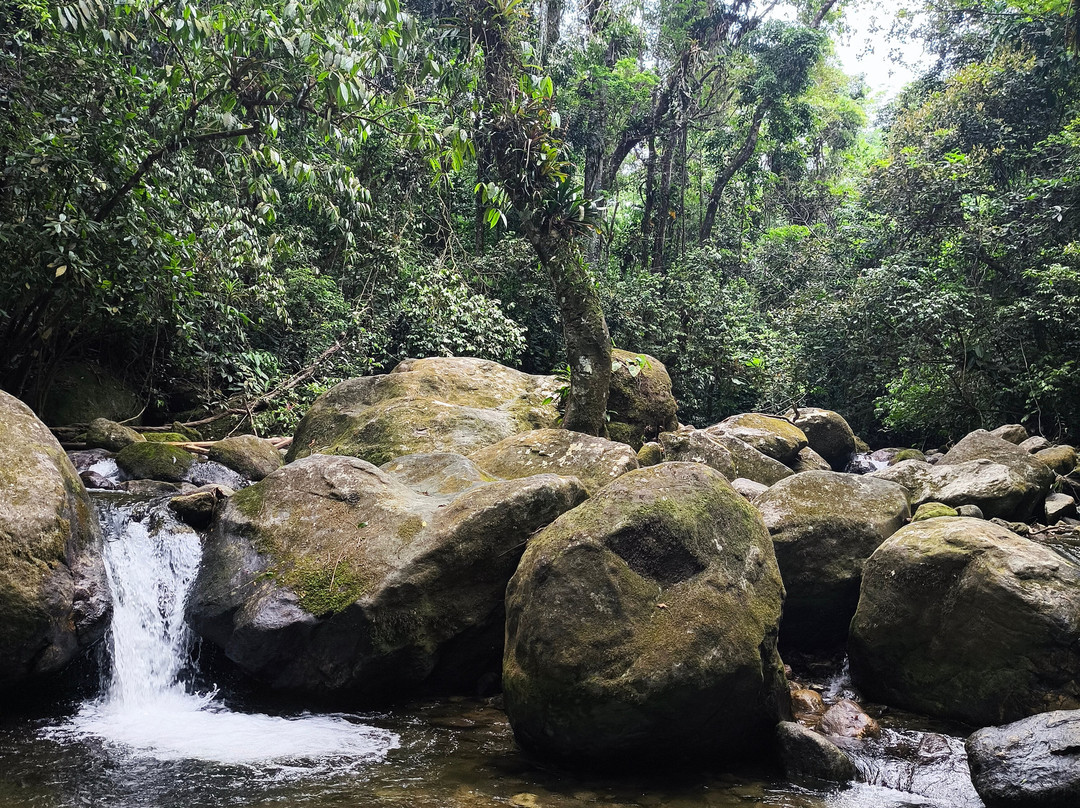 MaresiasTur - Receptivo & Ecoturismo-Maresias必去景点