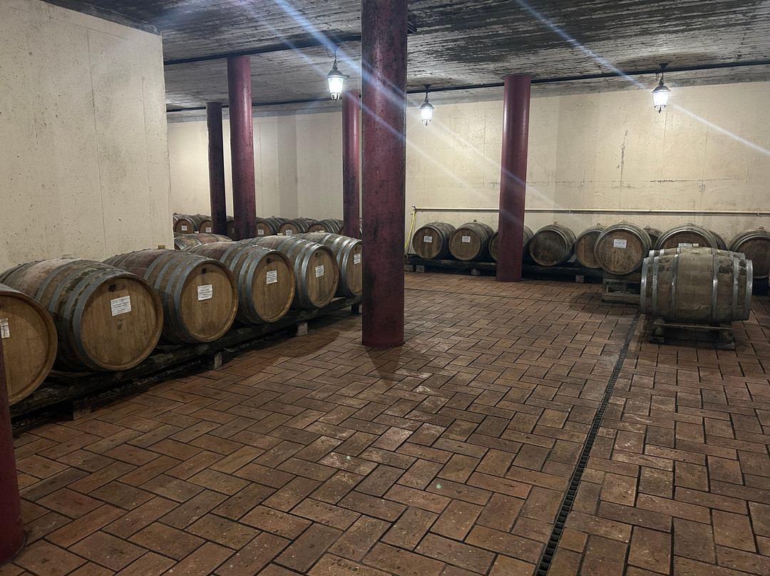 Az Agr Flli Fraccaroli - Lugana Doc-佩斯基耶拉德尔加尔达必去景点