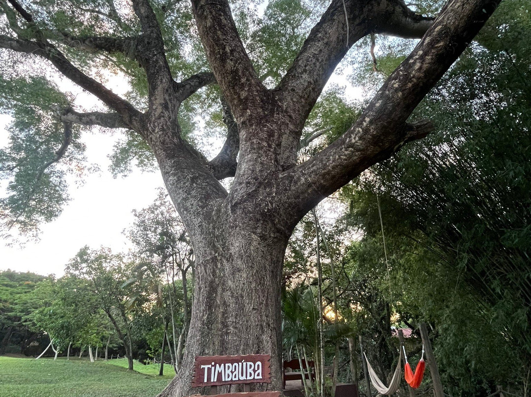 Pousada Rainha Da Mata主图