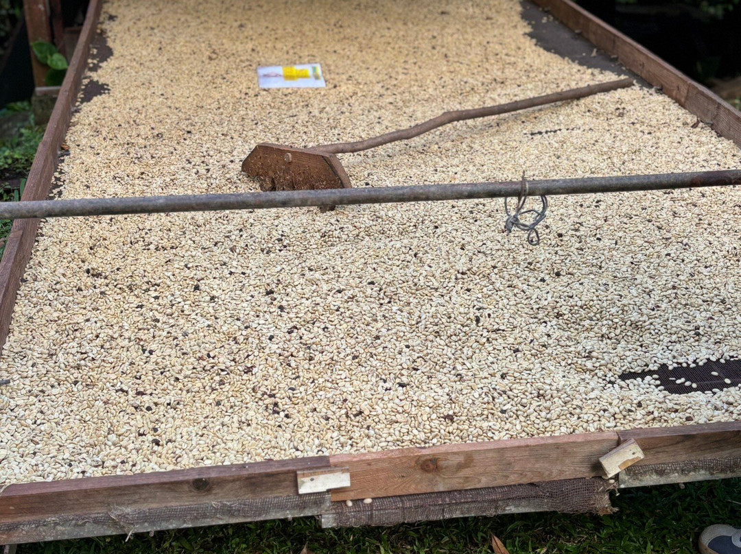 Vanibel-Vieux-Habitants必去景点