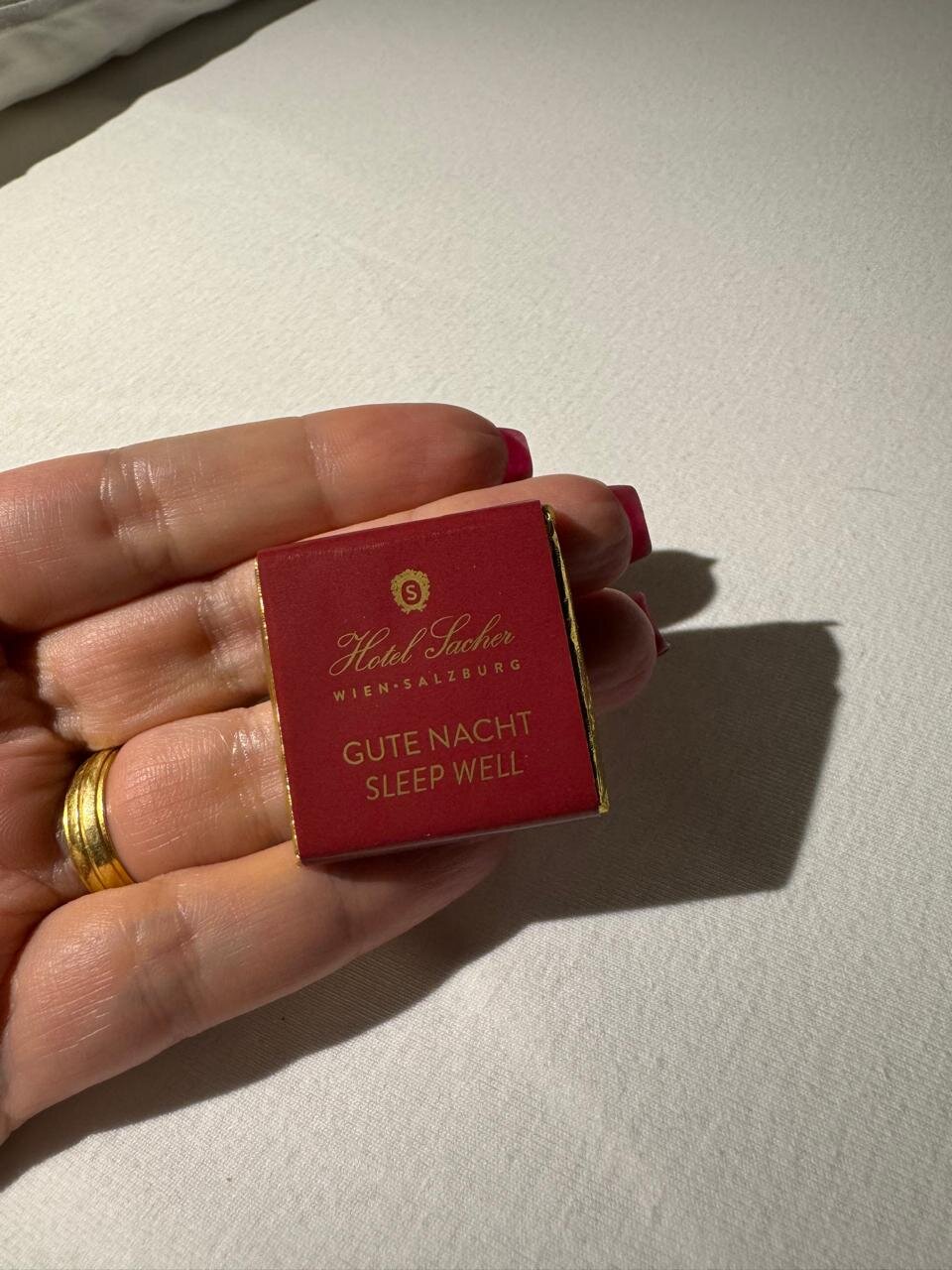 Alpin Resort Sacher-客卧