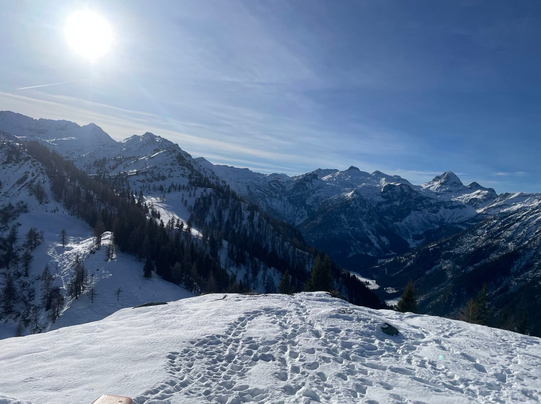 Hotel Alpenrose主图