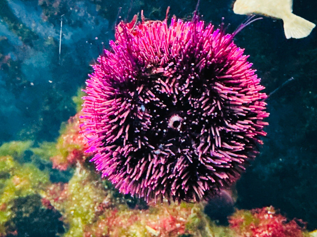 Zoo Basel-巴塞尔必去景点