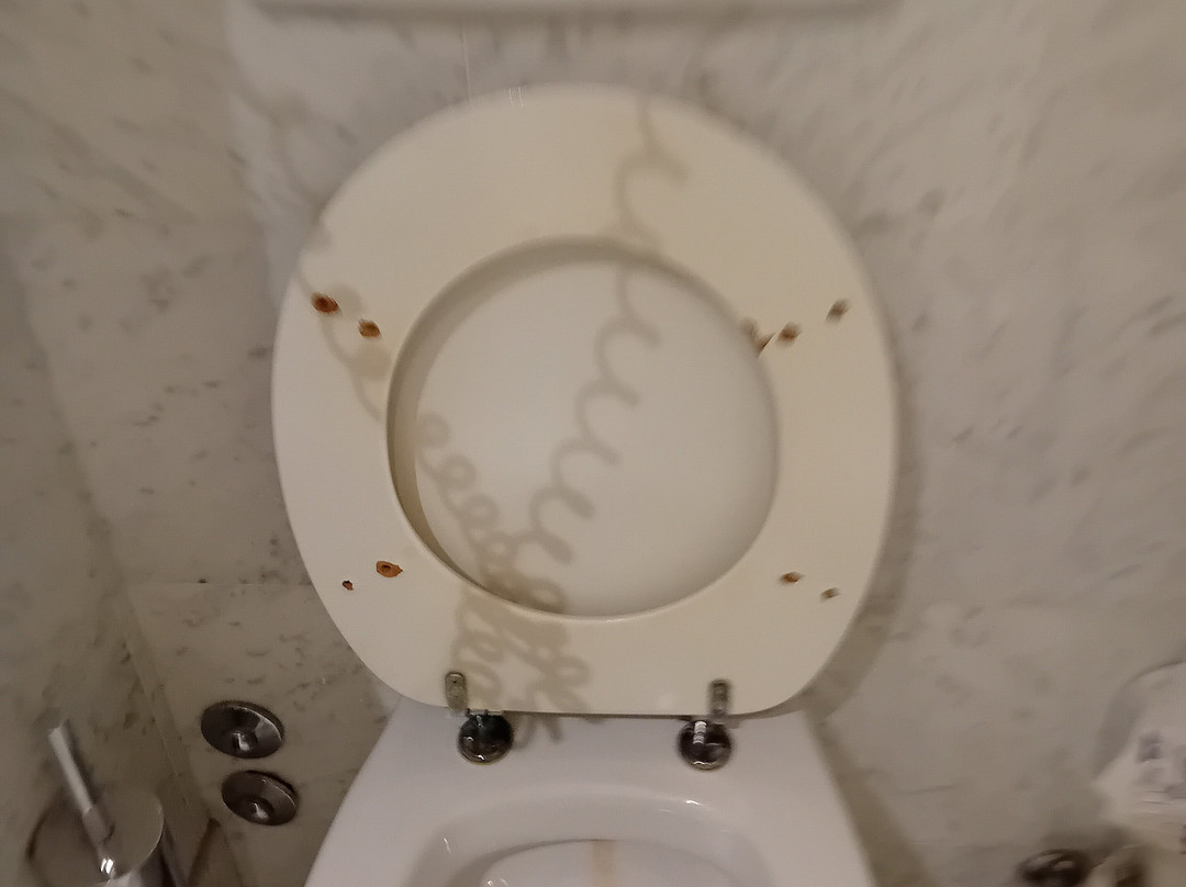 杜卡迪曼托瓦大酒店主图