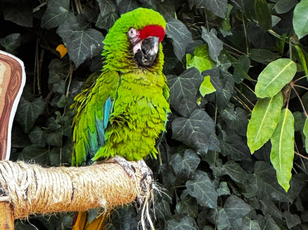 Pai Pai Ecotourism Park-恩塞纳达必去景点