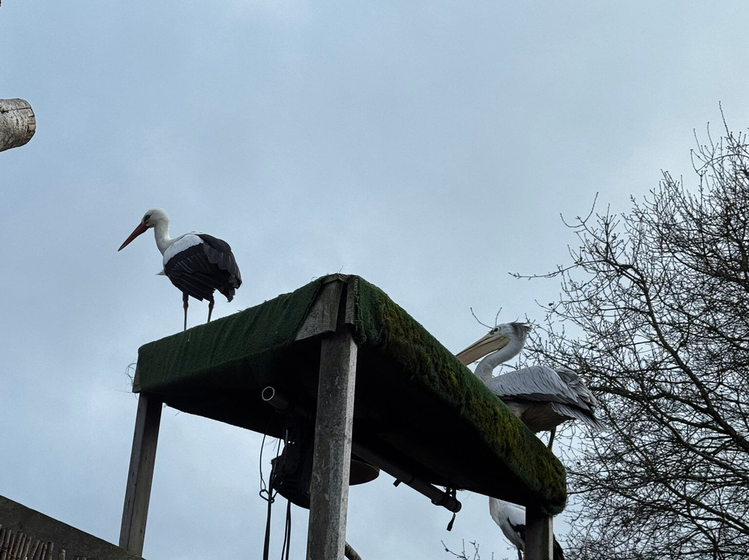 Wild Zoological Park-Bobbington必去景点