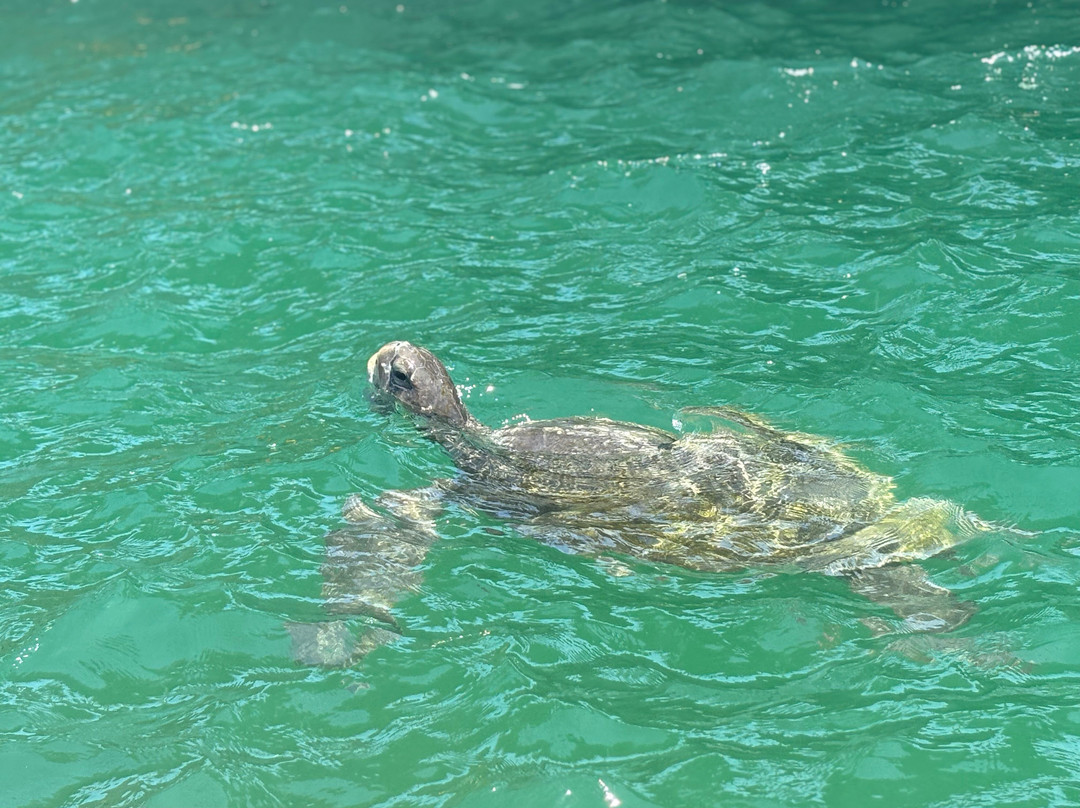 Alagua-Organos必去景点