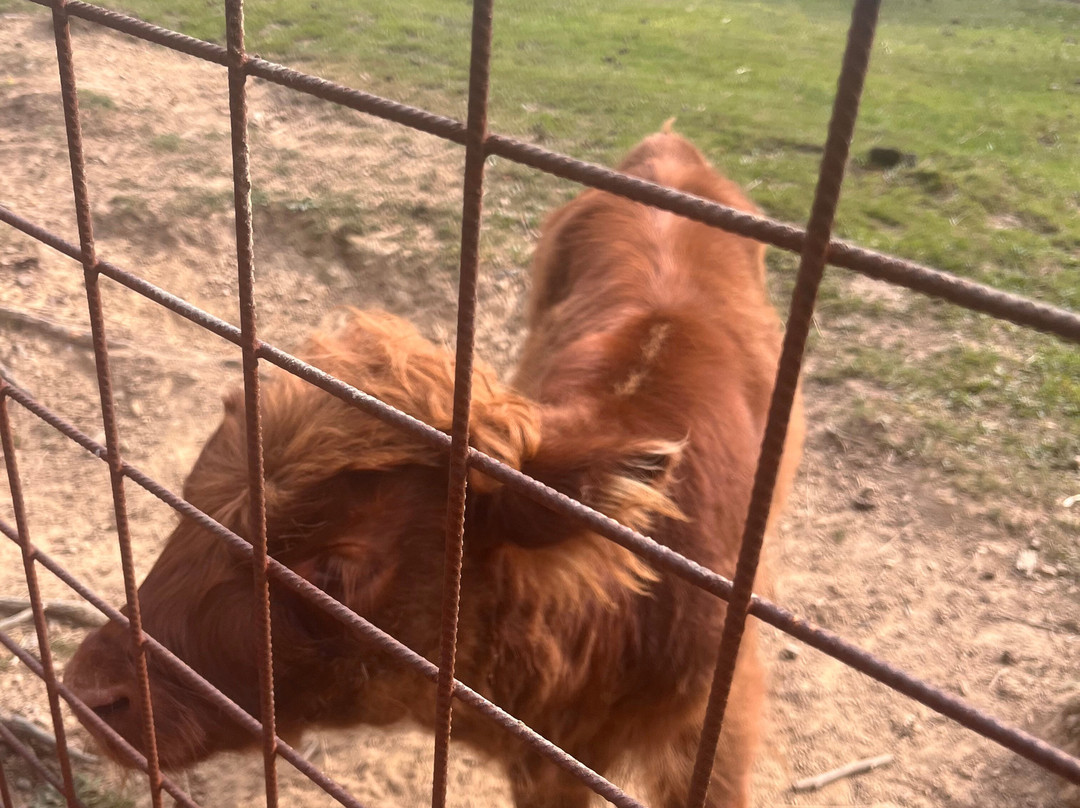 Oasi Delle Piane-Lama Mocogno必去景点