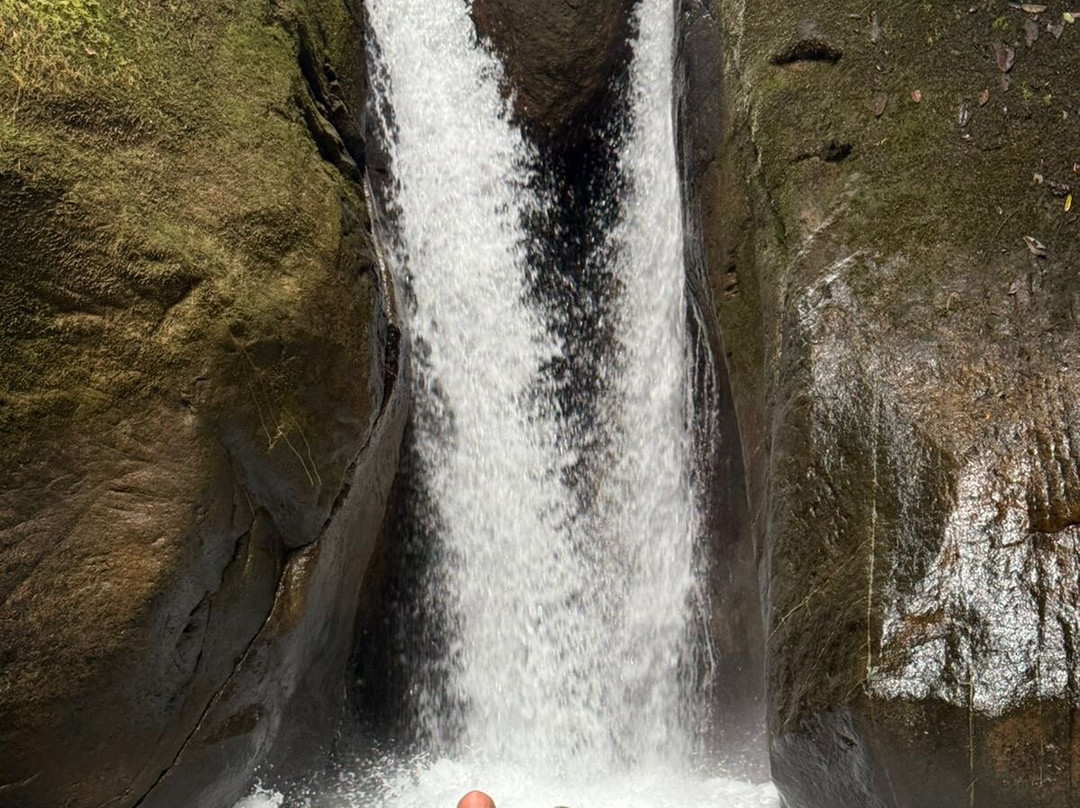 Tropical Waterfalls Tour-哥斯达黎加安东尼奥国家公园必去景点