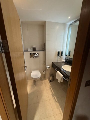 雷丁市希尔顿酒店-浴室