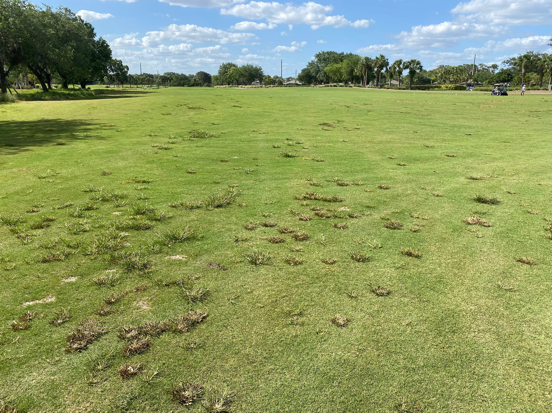 River Hall Country Club-Alva必去景点