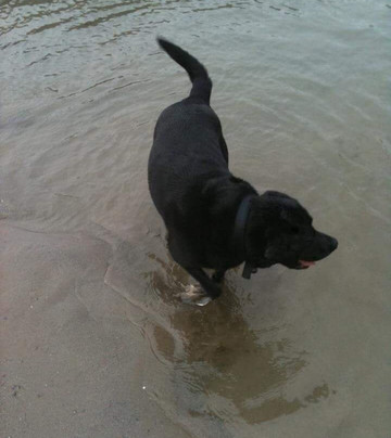 The Duke of Richmond Hotel主图