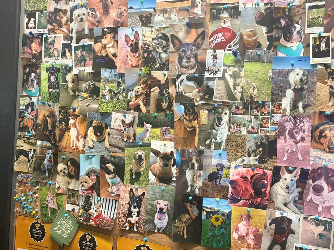 Adopted Dog Brewing-拉法叶必去景点