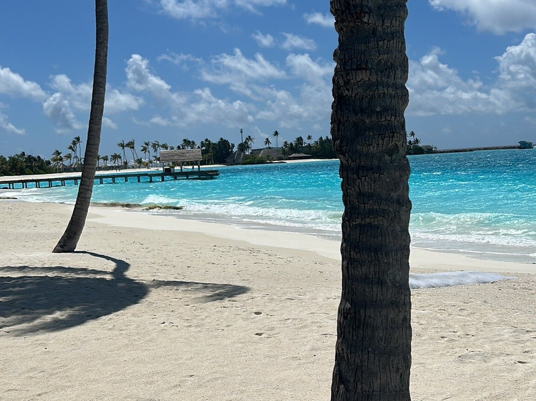 Sun Siyam Iru Veli Spa-达哈阿鲁环礁必去景点