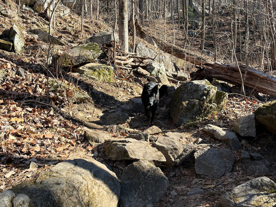 Yonah Mountain Hiking Trail-海伦必去景点