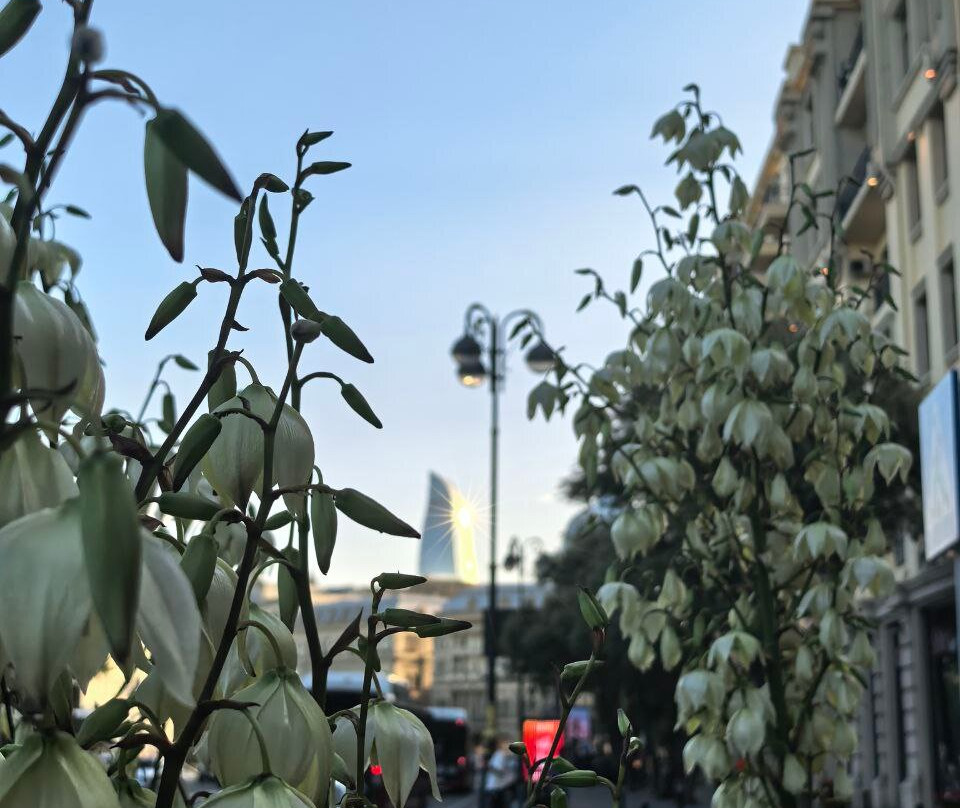 Guided Azerbaijan-巴库必去景点