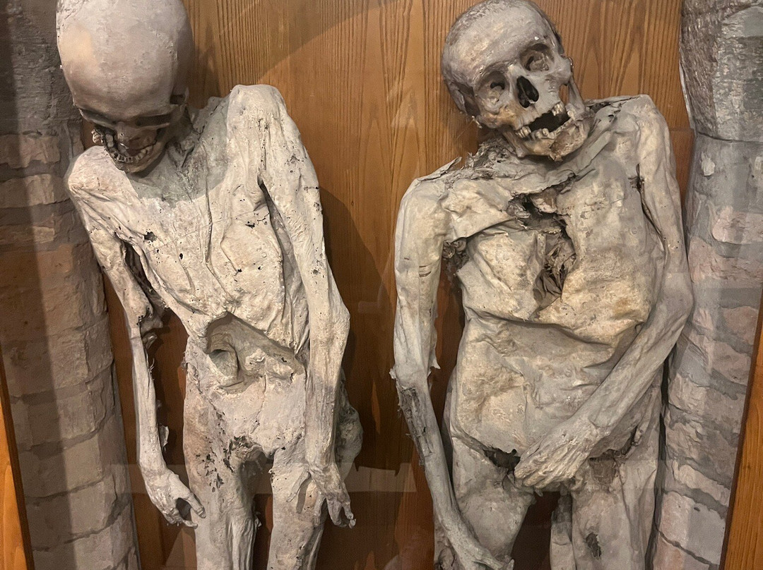 Church of The Dead-Urbania必去景点