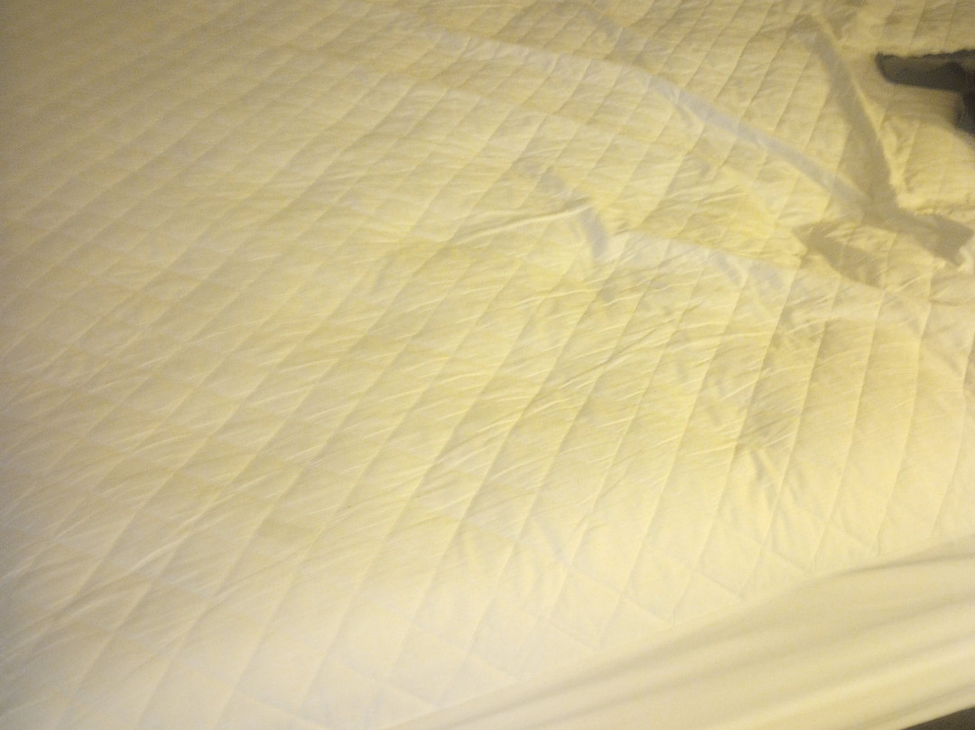 Best Western Angus Inn主图