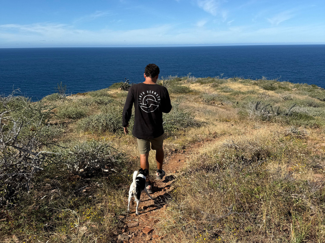 Baja Rock Pirates Backcountry Adventures-托多斯桑托斯必去景点