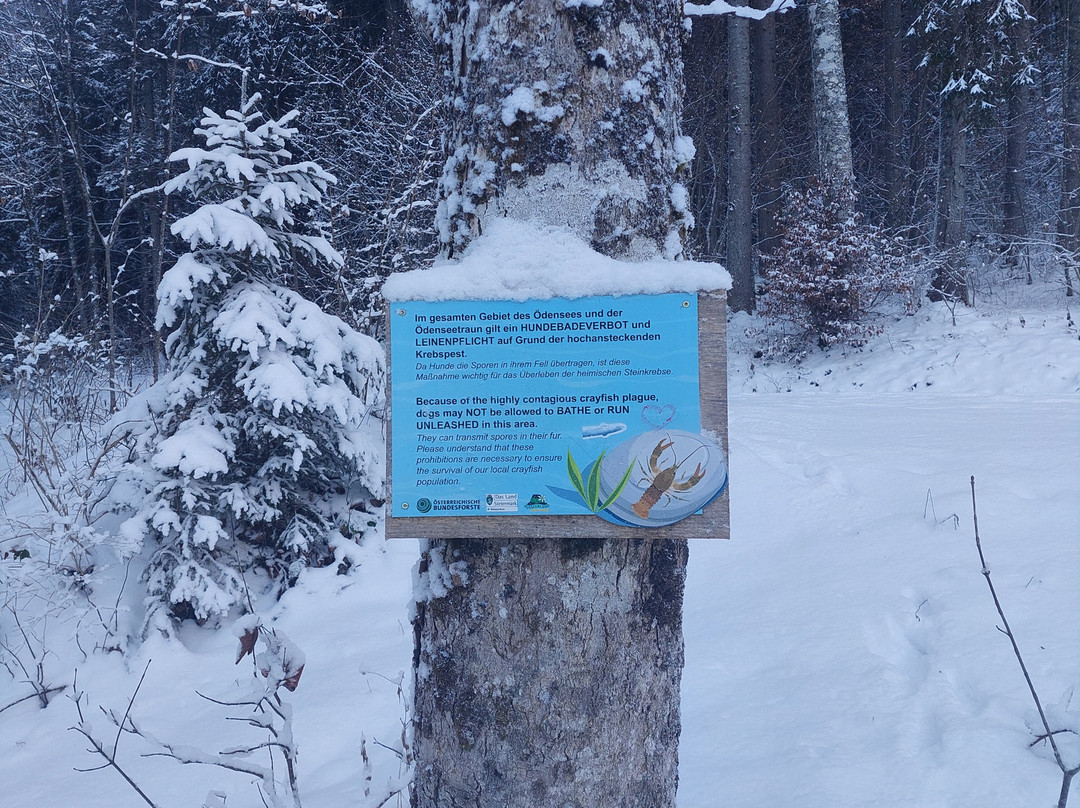 Oedensee-泉奥西必去景点