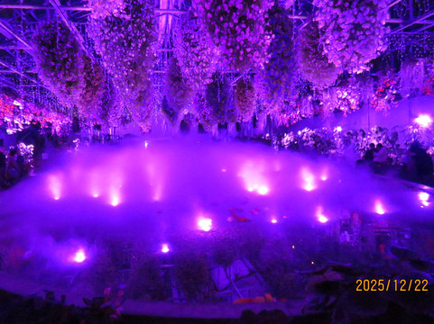 Begonia Garden-桑名市必去景点