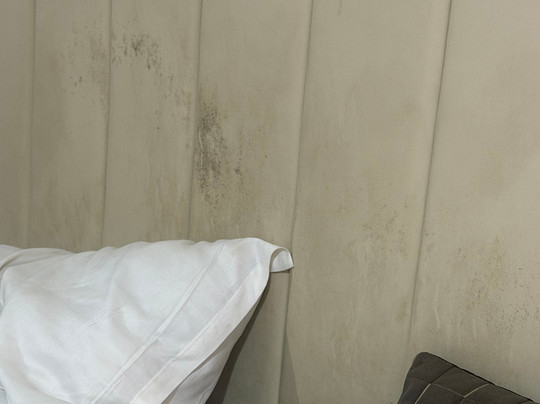 Hotel Royal Inn主图