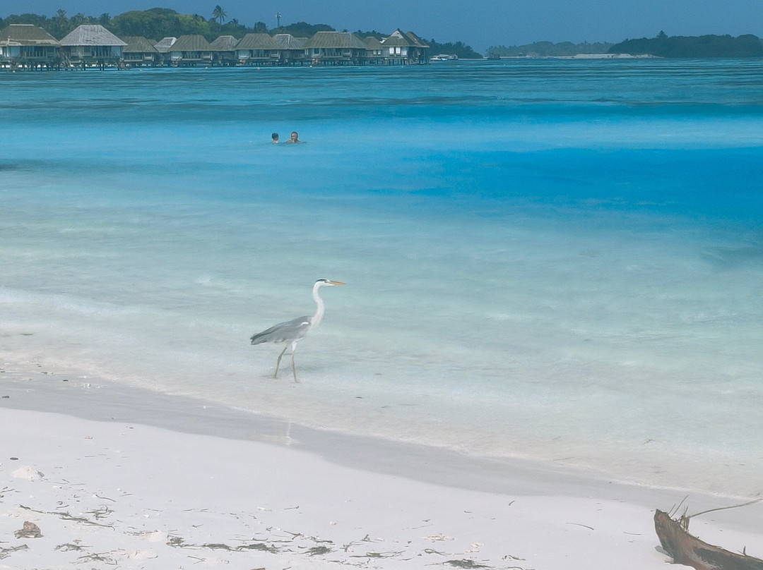 Courtyard Guesthouse