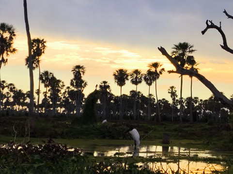 Bañado La Estrella-Las Lomitas必去景点