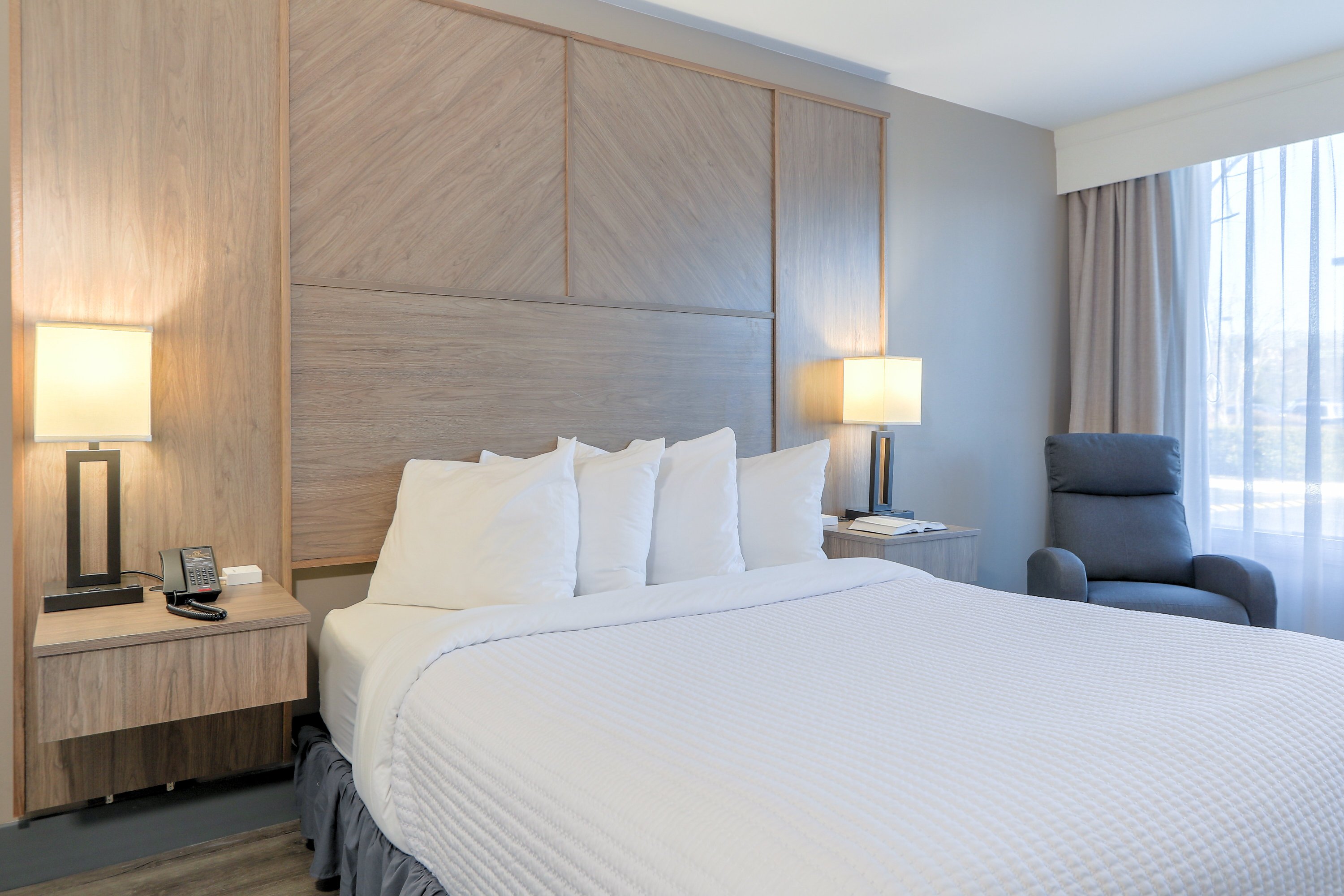 鸽子谷假日酒店-客卧