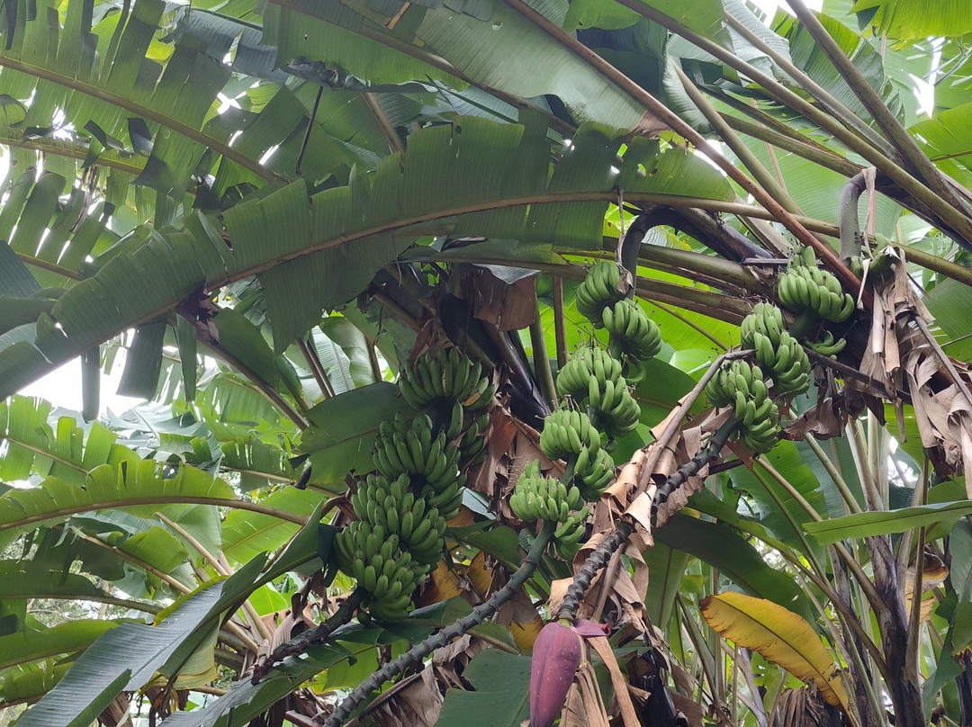 Maleku Tours-利比里亚必去景点