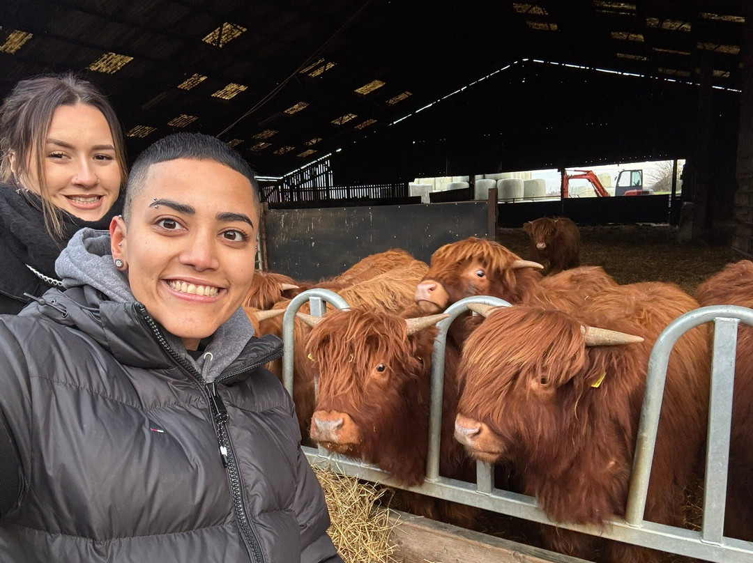 Dumble Farm-比弗利必去景点