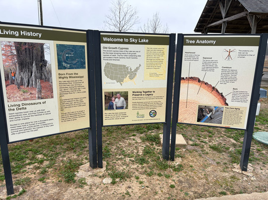 Sky Lake Boardwalk-Belzoni必去景点