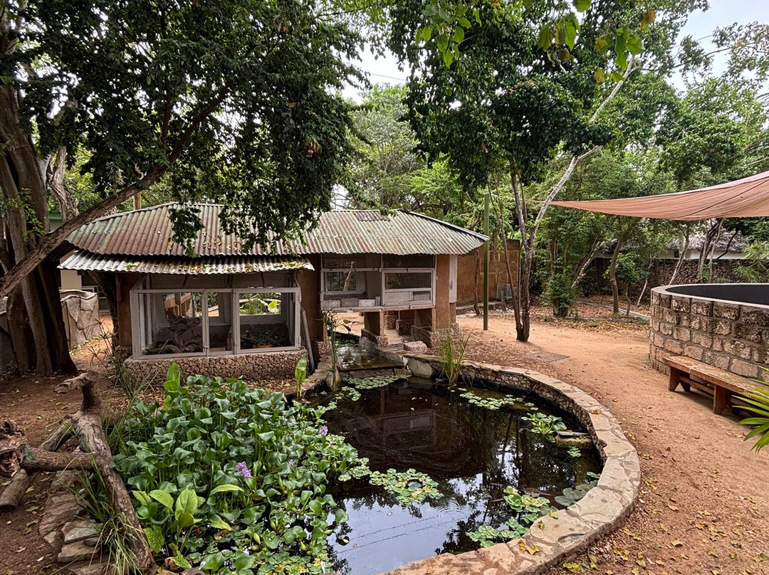 The Watamu Snake Farm-瓦塔木必去景点