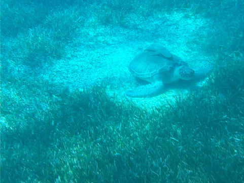 Baha Tours-拿骚必去景点