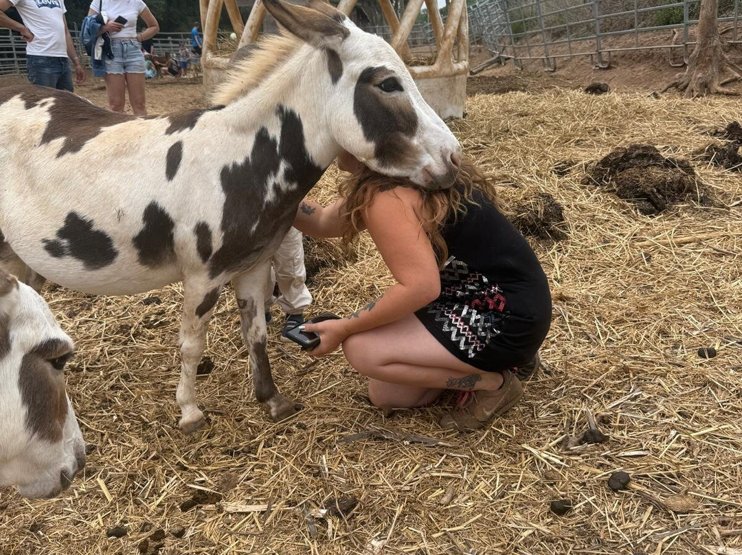 Les Animaux De Fairytale-Cap-d'Agde必去景点