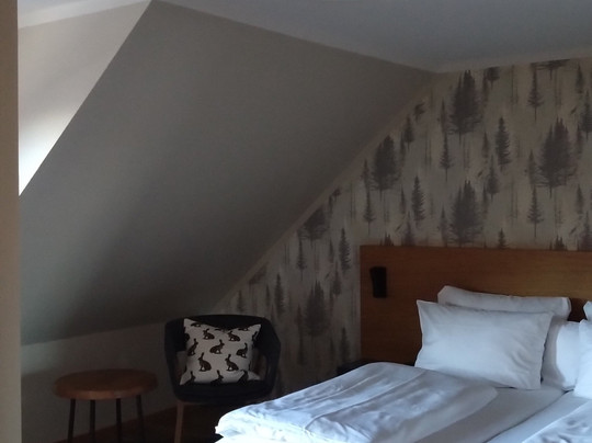 Waldhotel Kreuztanne主图